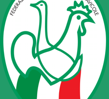 logo FIAV
