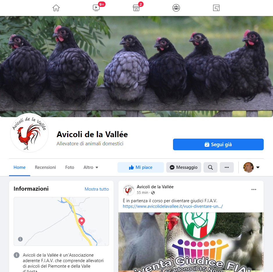 Nuova pagina Facebook Associazione Avicoli de la Vallée