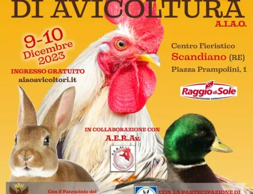 Iscrizioni e regolamenti Campionato Italiano di Avicoltura 2023