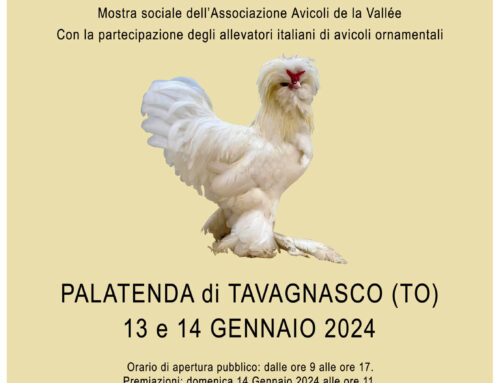 Mostra Interregionale Avicola e Sociale Avicoli de La Vallée 2024